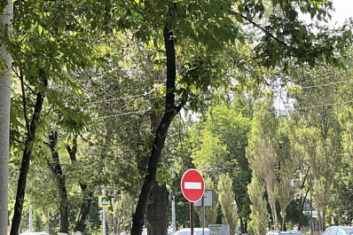 В Тольятти из-за велосипедистов временно перекроют дороги