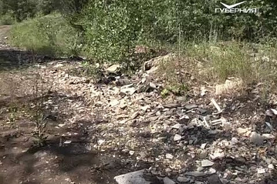 Художник из Самары хочет создать на своём участке центр для детей и молодежи