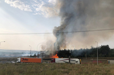 В Тольятти за 5 часов потушили лесной пожар