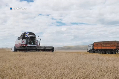 В Сергиевском районе молодое агропредприятие возвращает к жизни брошенные сельхозугодья