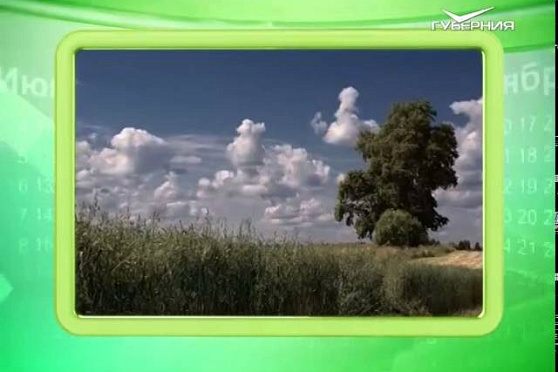 Календарь губернии 15.05.2015 