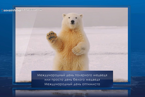 День белого медведя. Календарь Губернии от 27 февраля