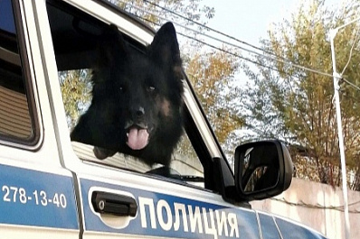 В Самаре благодаря служебной собаке удалось выйти на след подозреваемого в краже