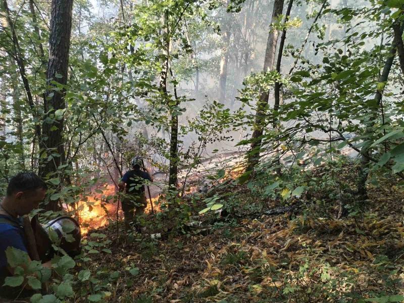 Жители Самарской области помогают в тушении пожара в Жигулевском заповеднике