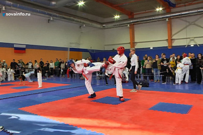 В Волжском районе прошли соревнования по тхэквондо
