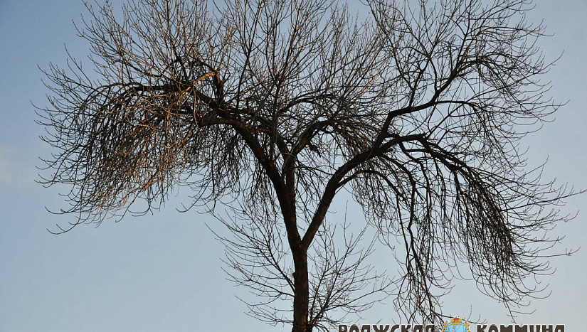 22 ноября в истории и архиве "ВК"