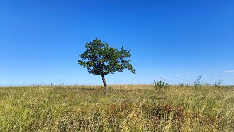 Народные приметы на 5 октября 2025 года: что нельзя делать в этот день