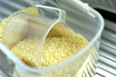 В России на полгода продлили запрет на экспорт риса