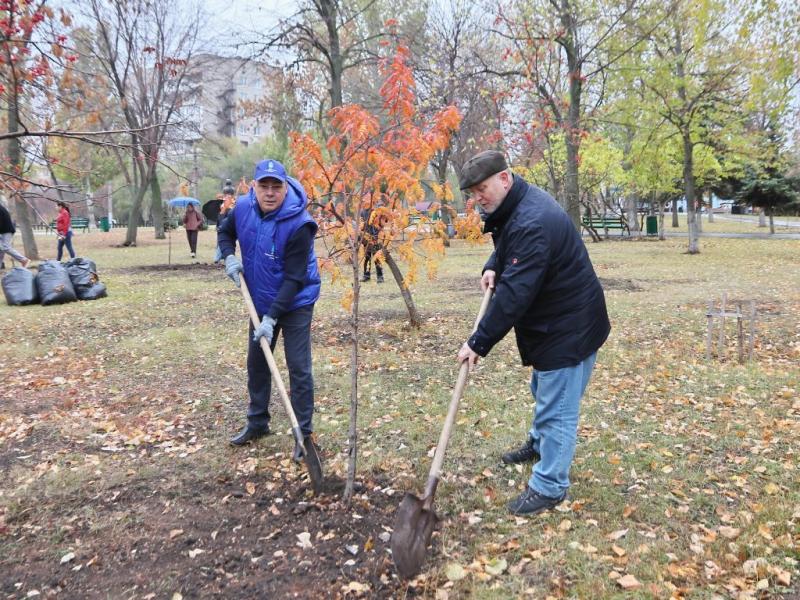 В Самаре 20 октября высадили "Отцовскую аллею"