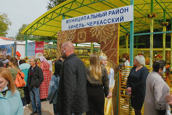 Что можно купить на ярмарке в Кинель-Черкасском районе? Агрокурьер