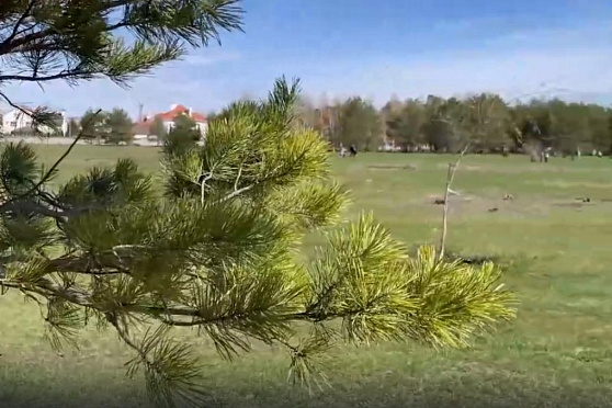 Эко-содружество Тольятти. Народное признание