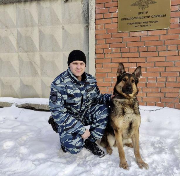 Помогла обезвредить подозреваемых: в Тольятти служебная собака обнаружила более 230 граммов героина 
