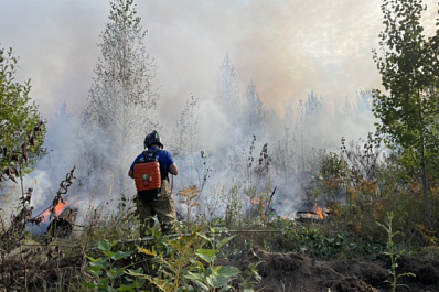 За выходные в Самарской области произошло 16 природных пожаров