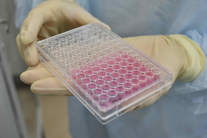 Оценку ставит живая клетка: самарские ученые разработали передовую тест-систему для поиска новых лекарств
