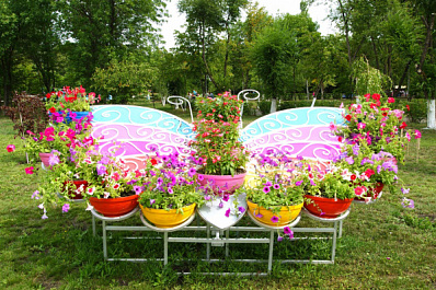 В Самаре пройдет ежегодный фестиваль цветов