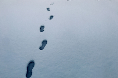 Добровольцы помогли вернуться домой сотням пропавших жителей Самарской области в 2023 году