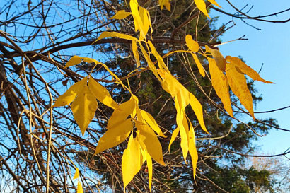 Название статьи