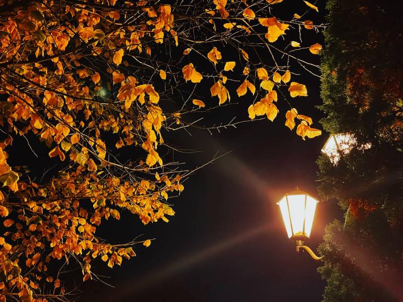 Народные приметы на 29 октября 2025 года: что нельзя делать в этот день