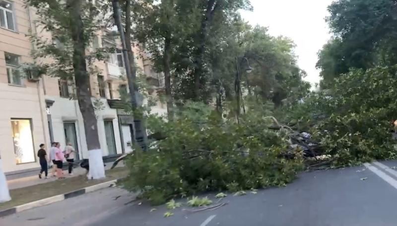 В центре Самары дерево упало на машины и перекрыло дорогу