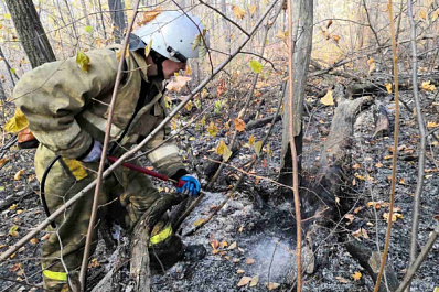 В Самаре в районе горы Барсук полностью потушили пожар в лесном массиве