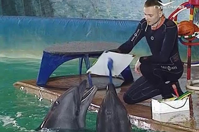 В Тольятти открылся дельфинарий