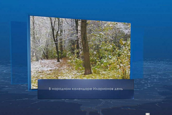 Иларионов день. Календарь Губернии от 3 ноября