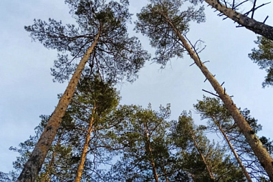 Погода на 24 марта 2025 года: народные приметы и прогноз синоптиков