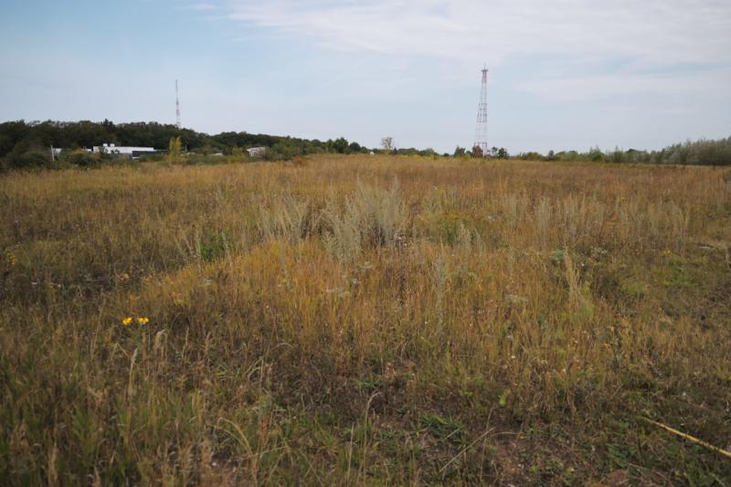 В регионе обсудили развитие территории стадиона "Солидарность Самара Арена"