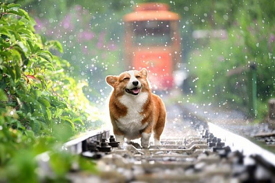 В Самарской области после дождей и гроз ожидается потепление