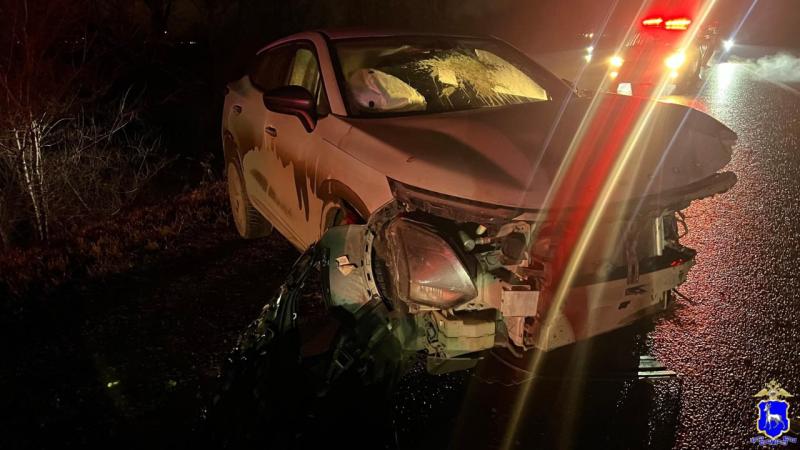 В Самаре 21-летний мужчина на "Гранте" врезался в дерево