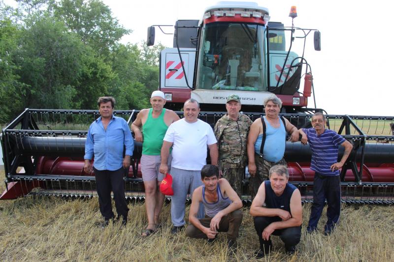 Время собирать урожай: аграрии Самарской области рассчитывают на хороший результат по озимым