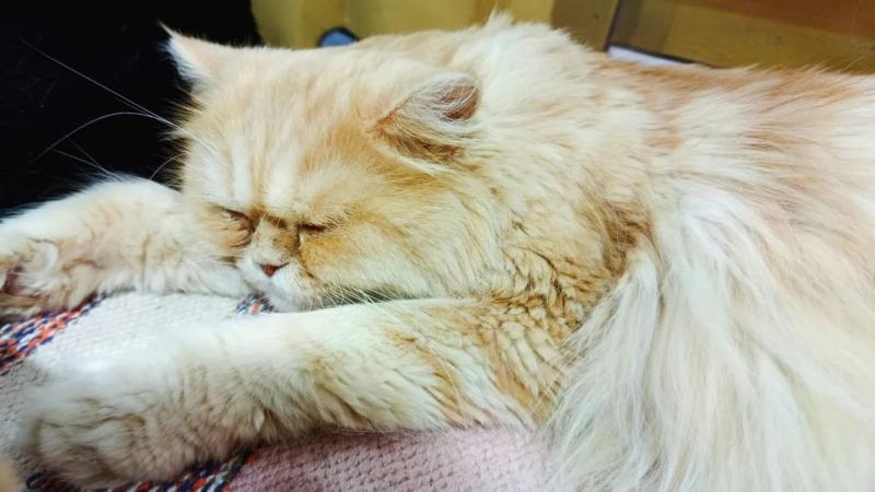 Погода на 8 августа 2025 года: народные приметы и прогноз синоптиков