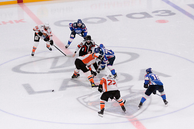 Хоккеисты "Лады" вместе с болельщиками провели субботник