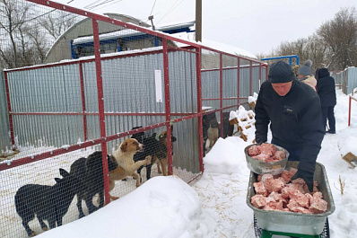 В Самаре функционирует специальный приют для бездомных животных