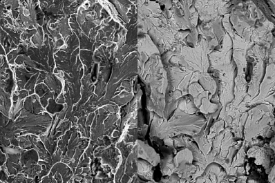 Учёный ТГУ получит грант на исследование от Российского научного фонда