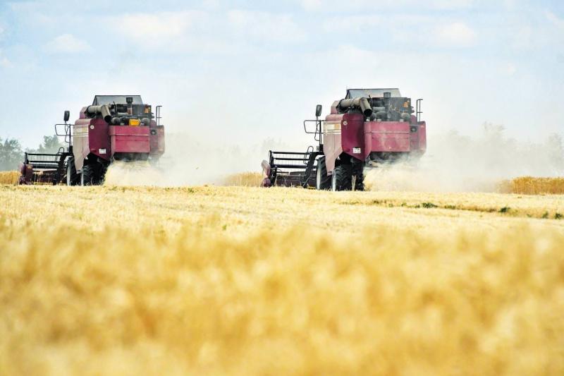 Более 1,6 млн тонн зерна собрано аграриями Самарской области