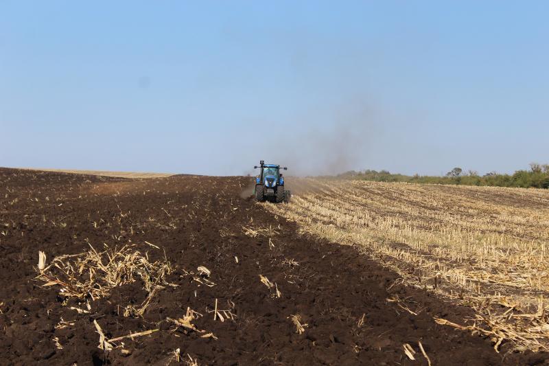 Молочный план: как в Новом Сарбае развивают животноводство