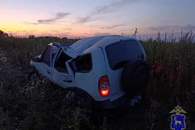 В Самарской области "Нива" опрокинулась в кювет и влетела в столб
