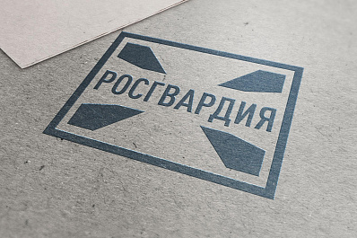 Жительница Самары ответит за оскорбление сотрудников Росгвардии