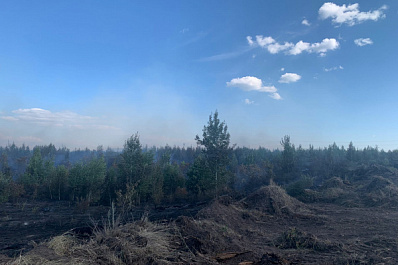 Олег Бойко о пожаре в Тольятти: ликвидацию планируем завтра к исходу дня, 12 июля
