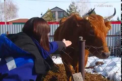Помощь по социальному контракту: как этой возможностью пользуются жители Самарской области