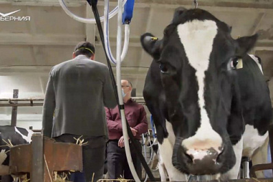 Хозяйства области теперь знают полную картину о здоровье своих коров