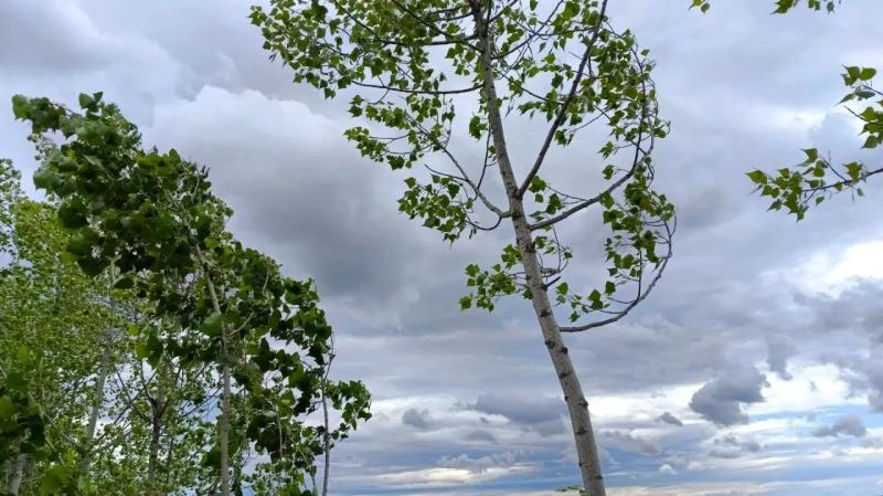 В Тольятти обсудили меры противодействия ЧC