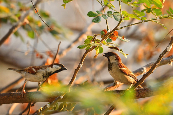 Ждем бабье лето. Такое утро