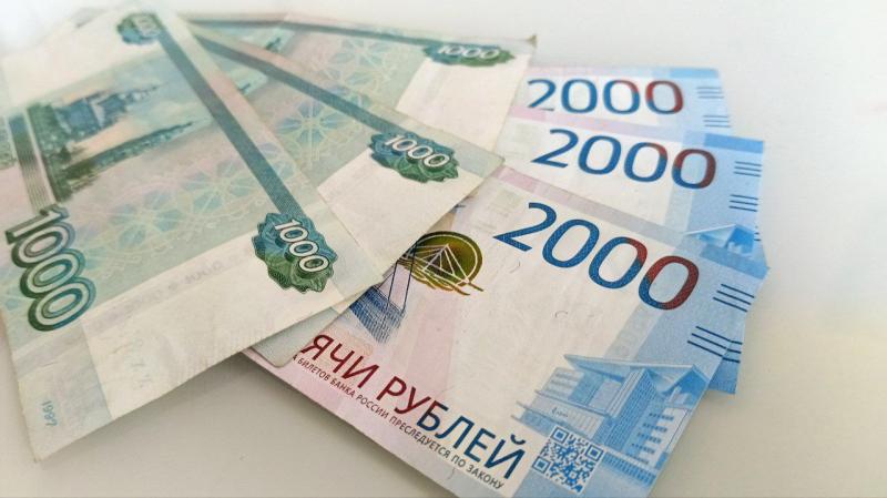 Работа без вложений: россиянка поверила мошенникам и потеряла почти 2,5 млн рублей 