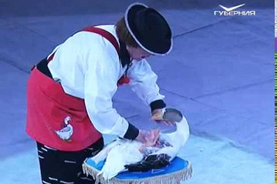 Необычная цирковая программа с пингвинами "Ласта Рика" продолжает удивлять самарцев