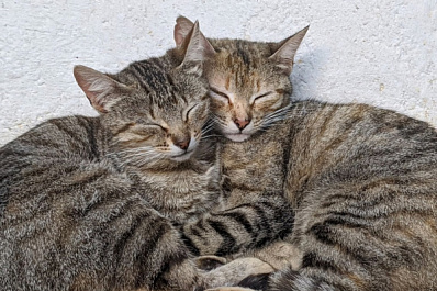 Как бороться с осенней сонливостью: комментарии эксперта