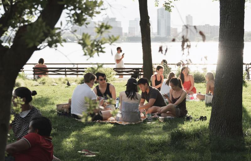 Врач рассказал, что нужно обязательно взять с собой на пикник