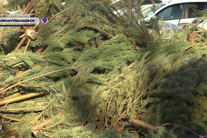 Название статьи