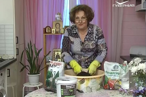 Дачные советы 24.11.2016. Подготовка грунта для рассады. Экзотические сорта томатов